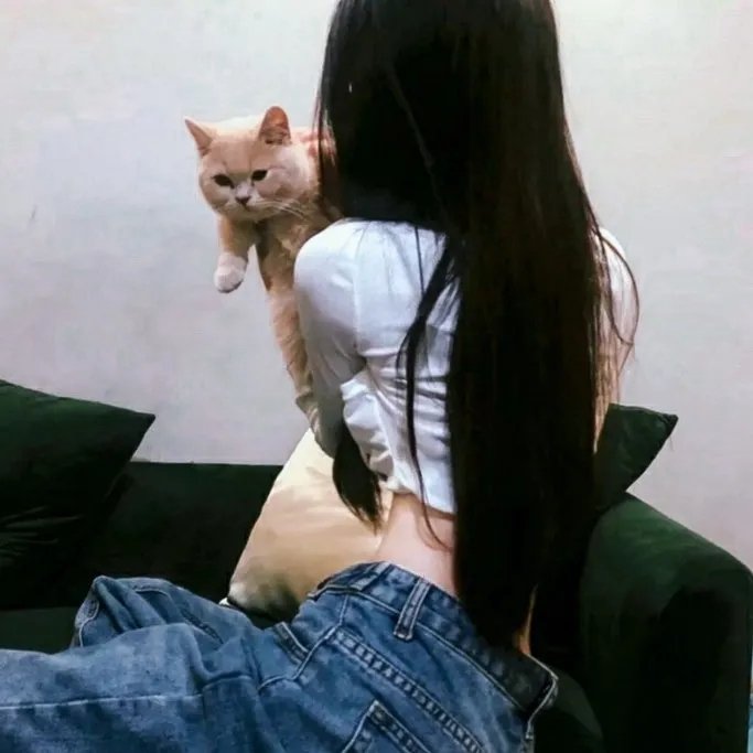 凸坊新画帖 名案的失败